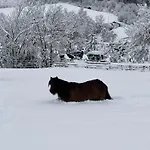 Familie Alt Rinn, Innsbruck