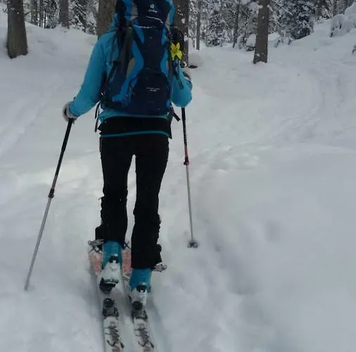 Familie Alt Rinn, Innsbruck Daire